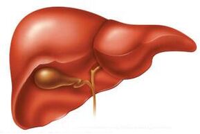 In the acute stage of helminthiasis, the liver may enlarge. 
