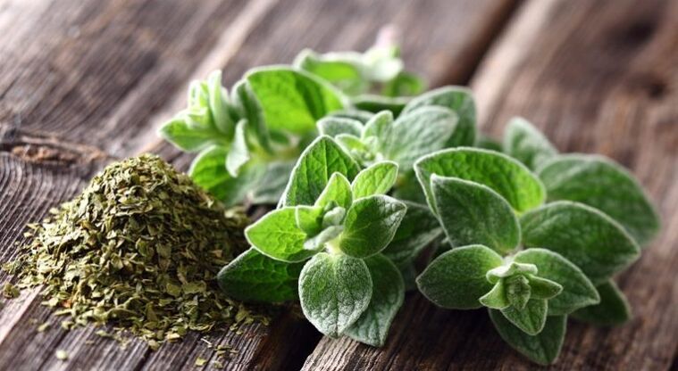Oregano has antiparasitic activity.