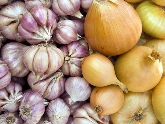 Fresh onions and garlic to get rid of worms.