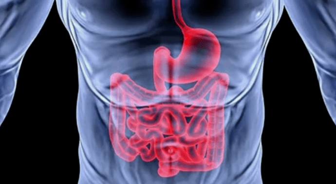 Diseases caused by worms.