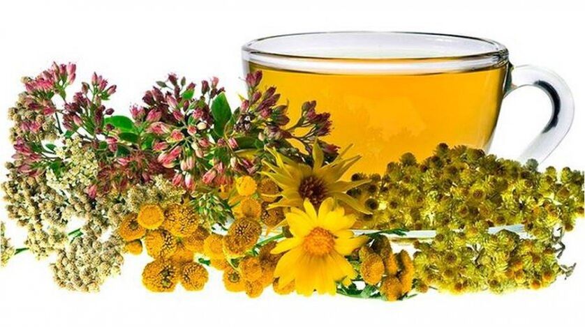 Chamomile decoction for parasites.